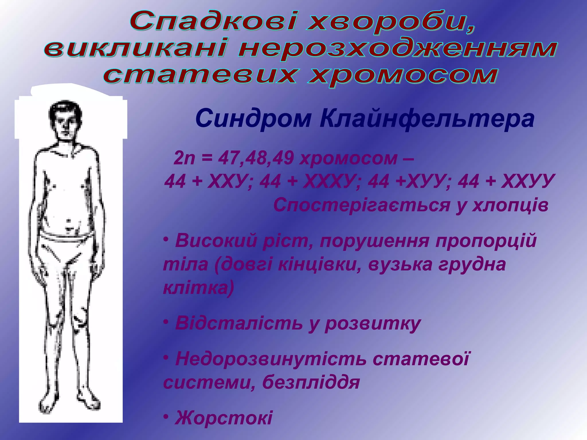 Синдром Клайнфельтера
2n = 47,48,49 хромосом –
44 + ХХУ; 44 + ХХХУ; 44 +ХУУ; 44 + ХХУУ
Спостерігається у хлопців
• Високий ріст, порушення пропорцій
тіла (довгі кінцівки, вузька грудна
клітка)
• Відсталість у розвитку
• Недорозвинутість статевої
системи, безпліддя
• Жорстокі
 