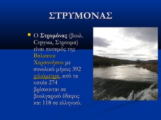 ΣΤΡΥΜΟΝΑΣΣΤΡΥΜΟΝΑΣ
 O O ΣτρυμόναςΣτρυμόνας (βουλ. (βουλ.
Струма, Στρουμα)Струма, Στρουμα)
είναι ποταμός της είναι ποταμός της 
ΒαλκανικΒαλκανικ
ΧερσονήσουΧερσονήσου με με
συνολικό μήκος 392 συνολικό μήκος 392 
χιλιόμετραχιλιόμετρα, από τα, από τα
οποία 274οποία 274
βρίσκονται σεβρίσκονται σε
βουλγαρικό έδαφοςβουλγαρικό έδαφος
και 118 σε ελληνικό.και 118 σε ελληνικό.
 