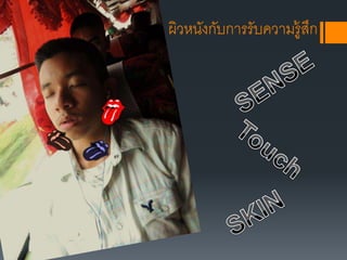 ผิวหȨงกับการรับความรู้สึก
 