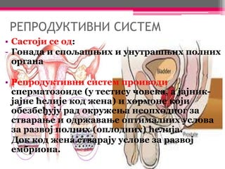 РЕПРОДУКТИВНИ СИСТЕМ
• Састоји се од:
- Гонада и спољашњих и унутрашњих полних
органа
• Репродуктивни систем проиводи
сперматозоиде (у тестису човека, а јајник-
јајне ћелије код жена) и хормоне који
обезбеђују рад окружења неопходног за
стварање и одржавање оптималних услова
за развој полних (оплодних) ћелија.
Док код жена стварају услове за развој
ембриона.
 