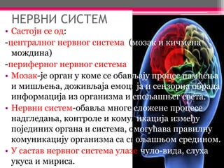 НЕРВНИ СИСТЕМ
• Састоји се од:
-централног нервног система (мозак и кичмена
мождина)
-периферног нервног система
• Мозак-је орган у коме се обављају процес памћења
и мишљења, доживљаја емоција и сензорна обрада
информација из организма и спољашњег света.
• Нервни систем-обавља многе сложене процесе
надгледања, контроле и комуникација између
појединих органа и система, омогућава правилну
комуникацију организма са спољашњом средином.
• У састав нервног система улазе:чуло-вида, слуха,
укуса и мириса.
 