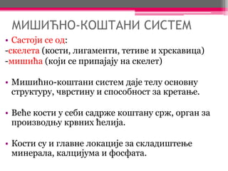 МИШИЋНО-КОШТАНИ СИСТЕМ
• Састоји се од:
-скелета (кости, лигаменти, тетиве и хрскавица)
-мишића (који се припајају на скелет)
• Мишићно-коштани систем даје телу основну
структуру, чврстину и способност за кретање.
• Веће кости у себи садрже коштану срж, орган за
производњу крвних ћелија.
• Кости су и главне локације за складиштење
минерала, калцијума и фосфата.
 