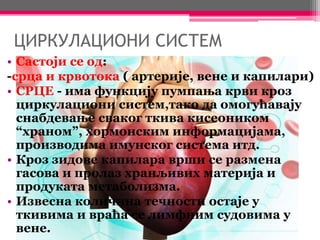 ЦИРКУЛАЦИОНИ СИСТЕМ
• Састоји се од:
-срца и крвотока ( артерије, вене и капилари)
• СРЦЕ - има функцију пумпања крви кроз
циркулациони систем,тако да омогућавају
снабдевање сваког ткива кисеоником
“храном”, хормонским информацијама,
производима имунског система итд.
• Кроз зидове капилара врши се размена
гасова и пролаз хранљивих материја и
продуката метаболизма.
• Извесна количина течности остаје у
ткивима и враћа се лимфним судовима у
вене.
 