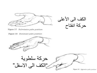 ‫سلطوٌة‬ ‫حركة‬
”‫االسفل‬ ‫الى‬ ‫الكف‬“
‫األعلى‬ ‫الى‬ ‫الكف‬
‫انفتاح‬ ‫حركة‬
 