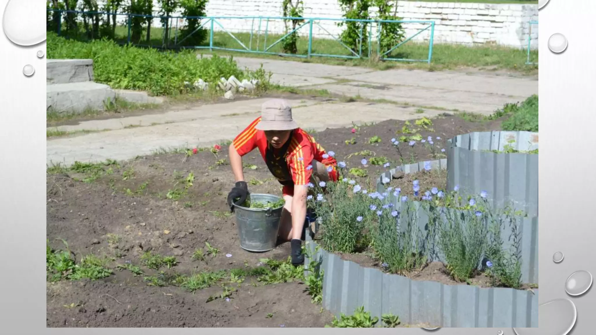 Наша социально значимая деятельность