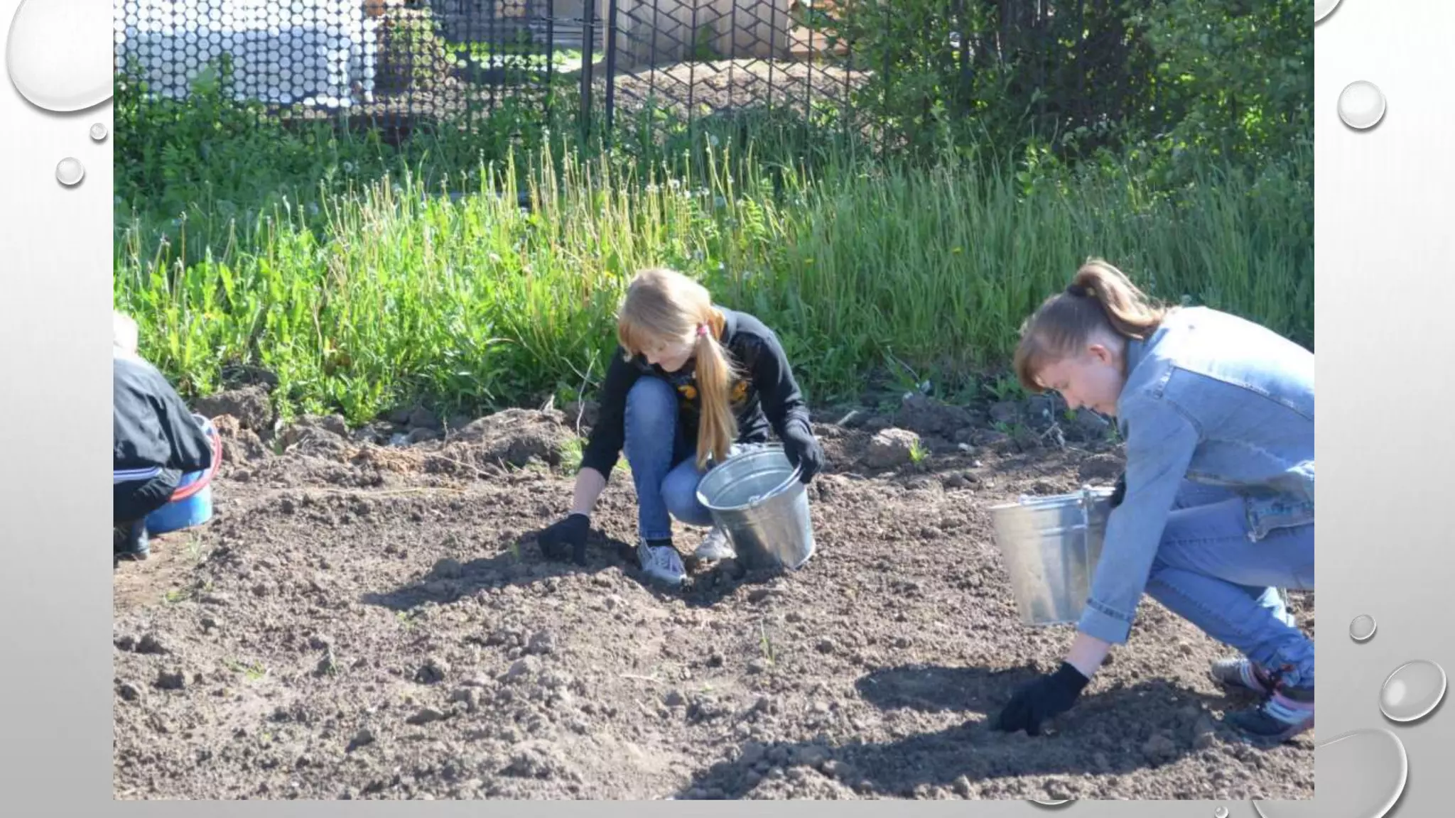 Наша социально значимая деятельность