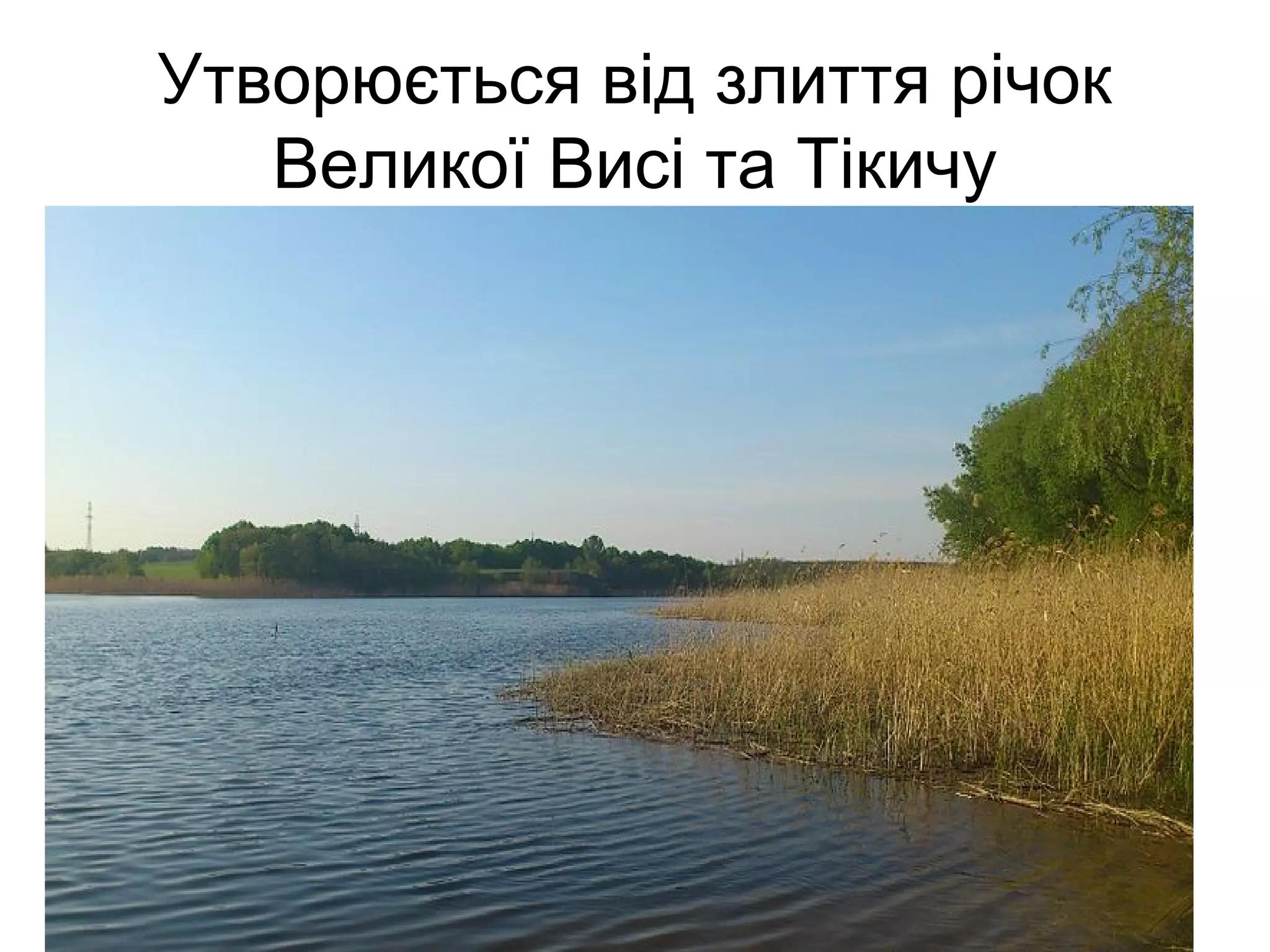 Утворюється від злиття річок
Великої Висі та Тікичу
 