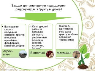 Заходи для зменшення надходження
радіонуклідів із ґрунту в урожай
4
 