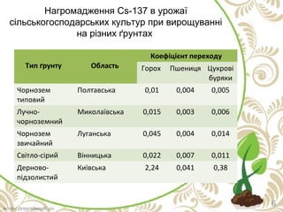 Тип ґрунту Область
Коефіцієнт переходу
Горох Пшениця Цукрові
буряки
Чорнозем
типовий
Полтавська 0,01 0,004 0,005
Лучно-
чорноземний
Миколаївська 0,015 0,003 0,006
Чорнозем
звичайний
Луганська 0,045 0,004 0,014
Світло-сірий Вінницька 0,022 0,007 0,011
Дерново-
підзолистий
Київська 2,24 0,041 0,38
6
Нагромадження Cs-137 в урожаї
сільськогосподарських культур при вирощуванні
на різних ґрунтах
 