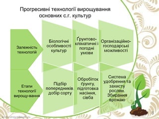 8
Прогресивні технології вирощування
основних с.г. культур
Залежність
технологій
Етапи
технології
вирощу-вання
 