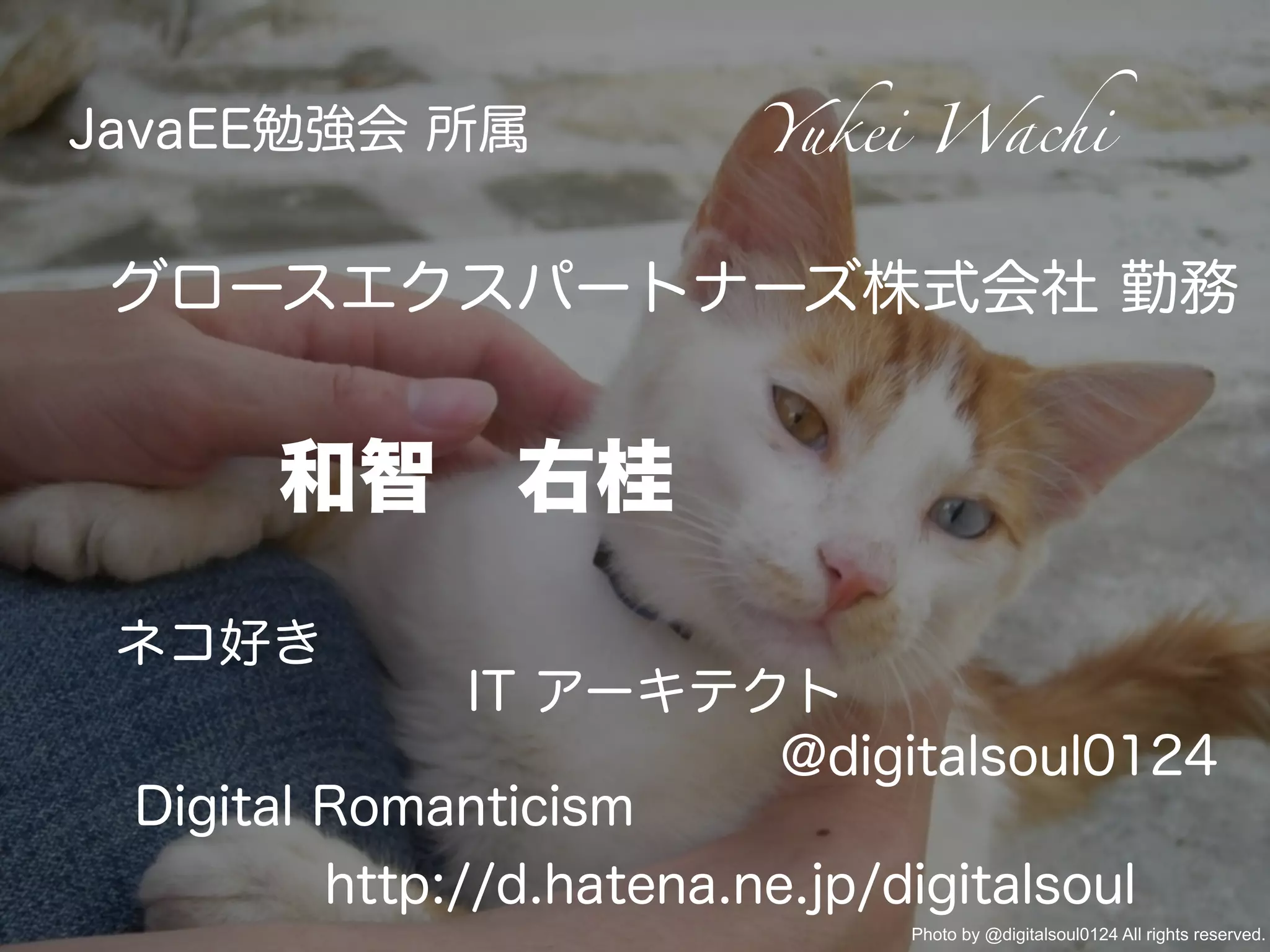 和智 右桂
JavaEE勉強会 所属
グロースエクスパートナーズ株式会社 勤務
Yukei Wachi
@digitalsoul0124
Digital Romanticism
http://d.hatena.ne.jp/digitalsoul
ネコ好き
Photo by @digitalsoul0124 All rights reserved.
IT アーキテクト
 