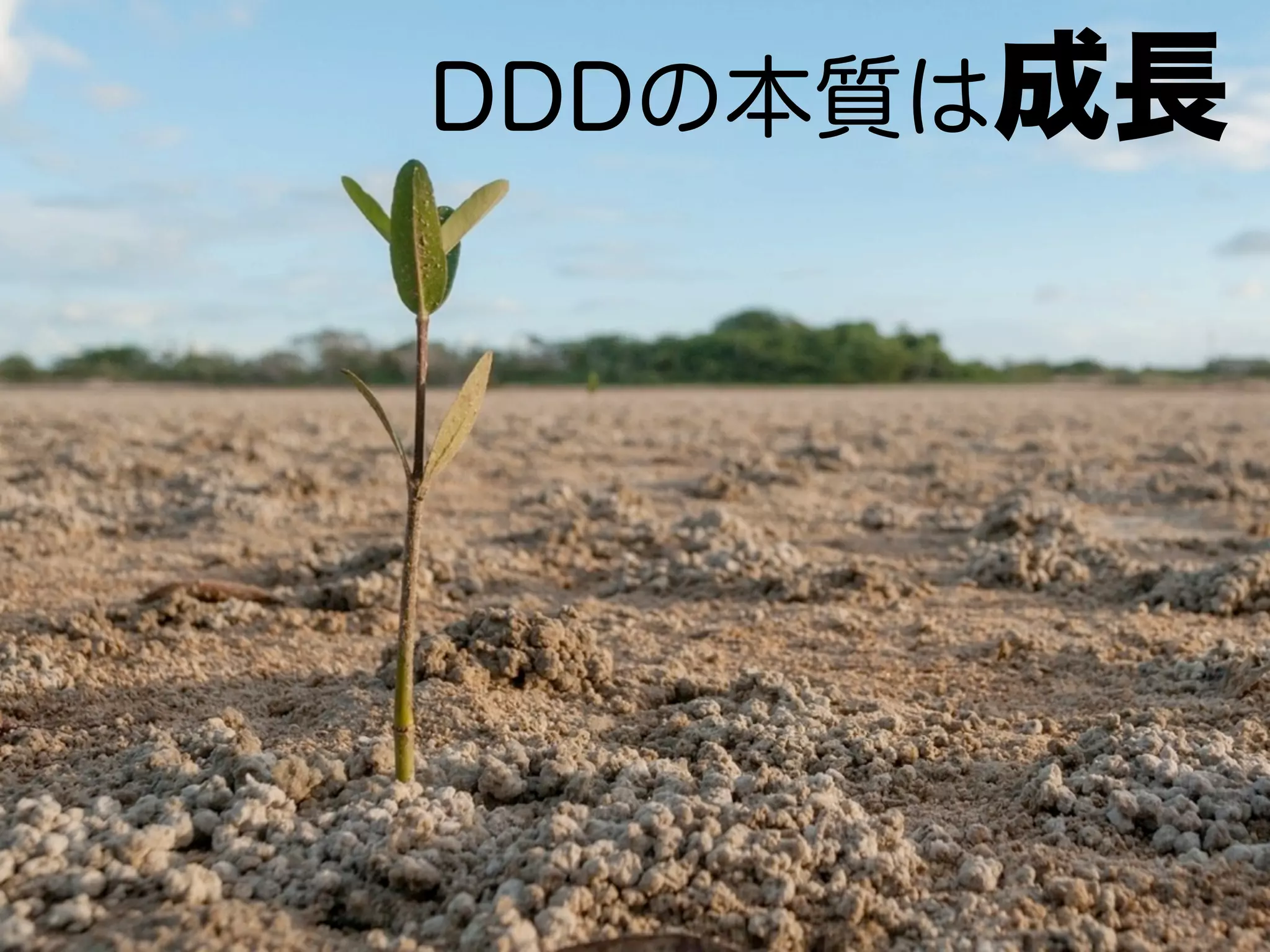 DDDの本質は成長
 
