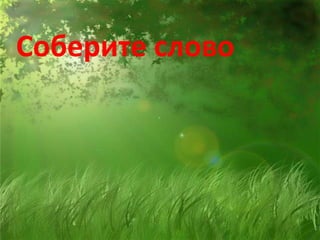 Соберите слово
 