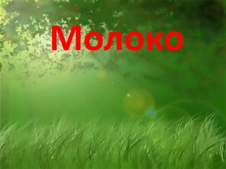 Молоко
 