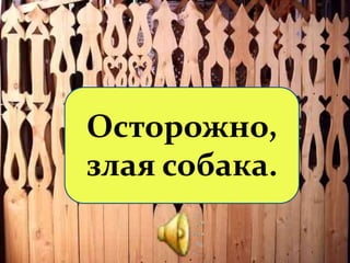 Осторожно,
злая собака.
 