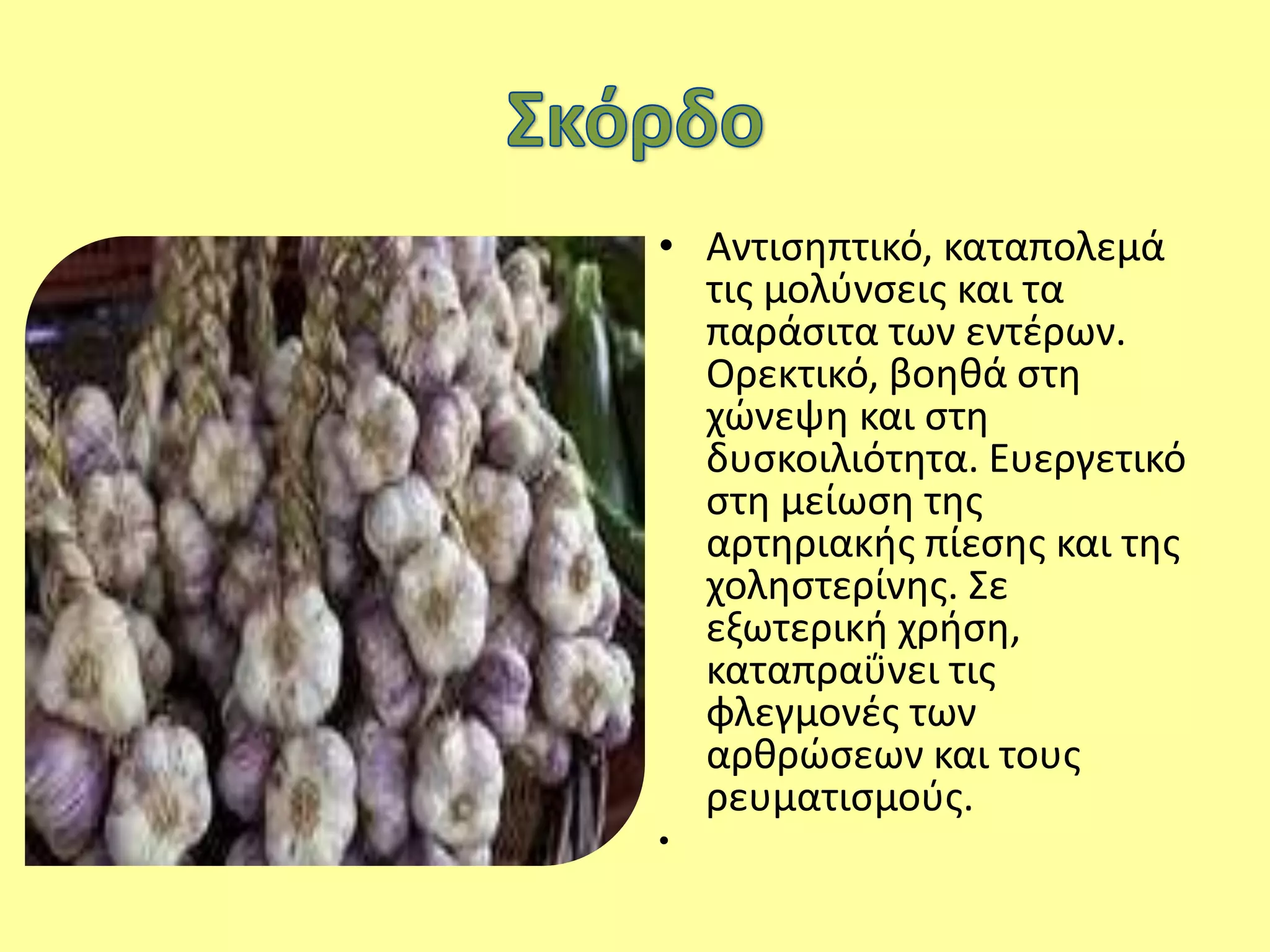 • Αντισηπτικό, καταπολεμά
τις μολύνσεις και τα
παράσιτα των εντέρων.
Ορεκτικό, βοηθά στη
χώνεψη και στη
δυσκοιλιότητα. Ευεργετικό
στη μείωση της
αρτηριακής πίεσης και της
χοληστερίνης. Σε
εξωτερική χρήση,
καταπραΰνει τις
φλεγμονές των
αρθρώσεων και τους
ρευματισμούς.
•
 