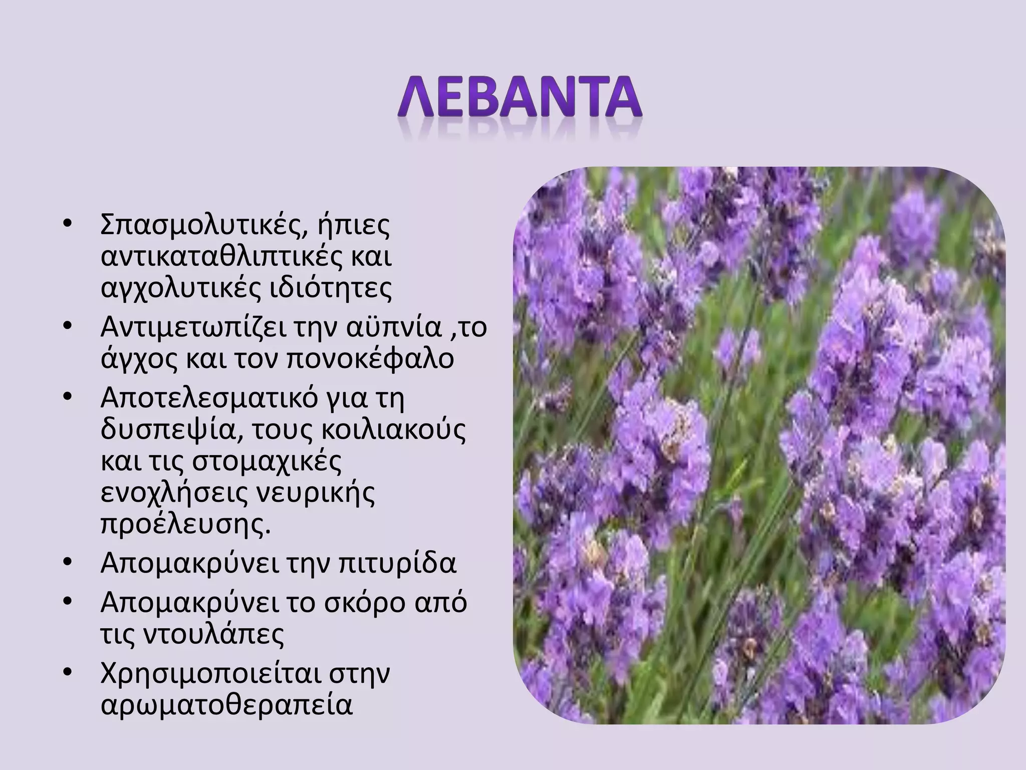 • Σπασμολυτικές, ήπιες
αντικαταθλιπτικές και
αγχολυτικές ιδιότητες
• Αντιμετωπίζει την αϋπνία ,το
άγχος και τον πονοκέφαλο
• Αποτελεσματικό για τη
δυσπεψία, τους κοιλιακούς
και τις στομαχικές
ενοχλήσεις νευρικής
προέλευσης.
• Απομακρύνει την πιτυρίδα
• Απομακρύνει το σκόρο από
τις ντουλάπες
• Χρησιμοποιείται στην
αρωματοθεραπεία
 