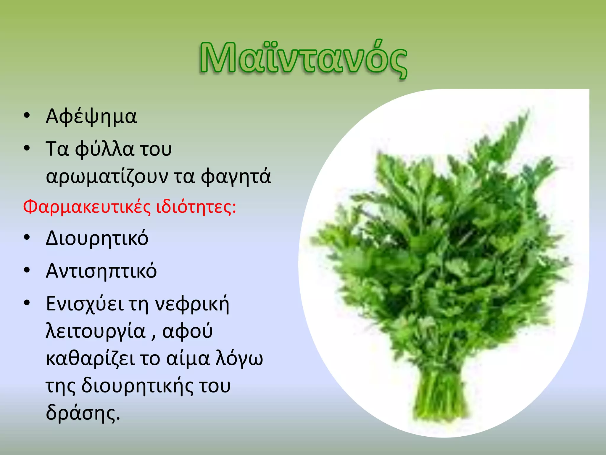 • Αφέψημα
• Τα φύλλα του
αρωματίζουν τα φαγητά
Φαρμακευτικές ιδιότητες:
• Διουρητικό
• Αντισηπτικό
• Ενισχύει τη νεφρική
λειτουργία , αφού
καθαρίζει το αίμα λόγω
της διουρητικής του
δράσης.
 