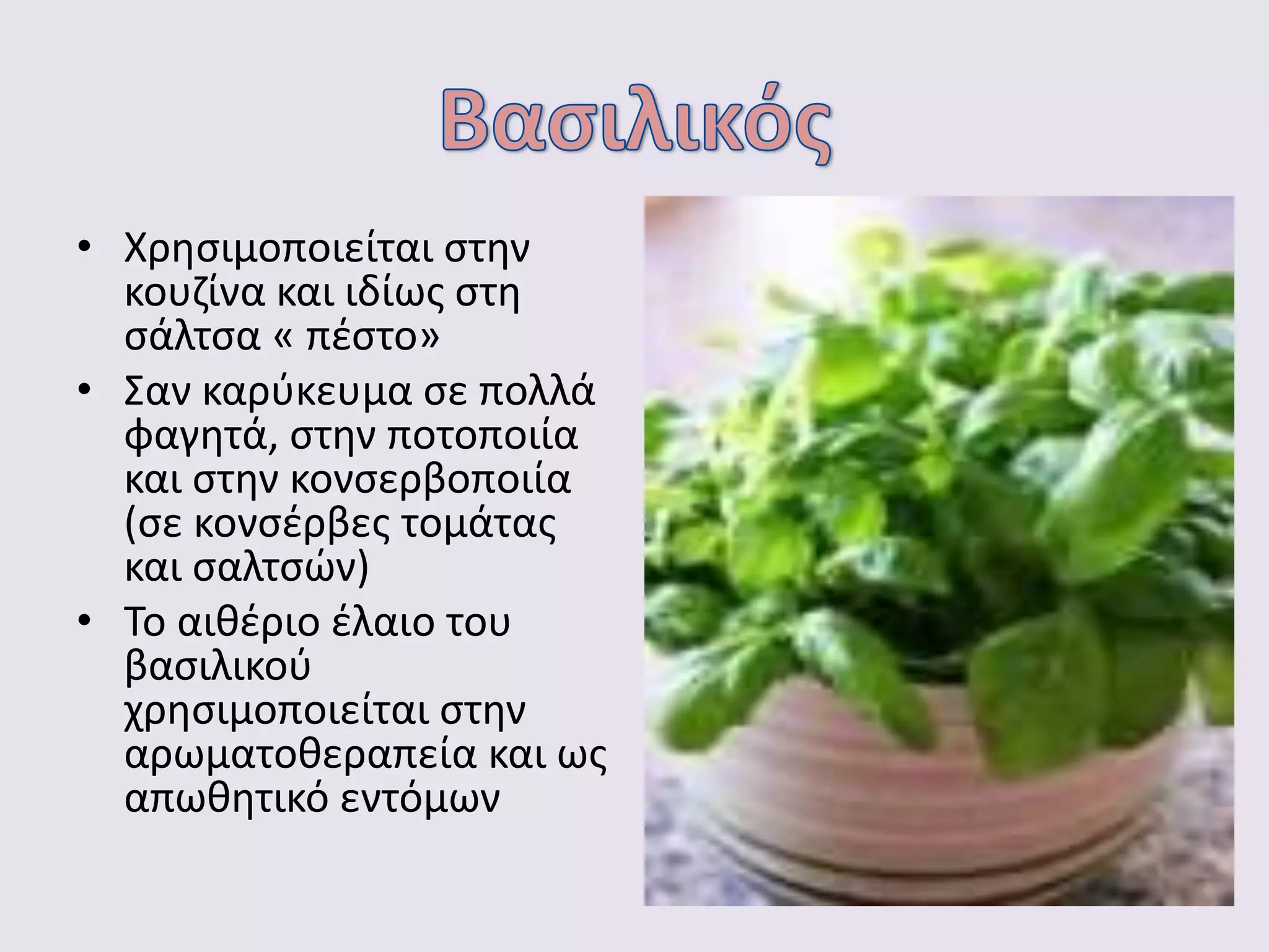 • Χρησιμοποιείται στην
κουζίνα και ιδίως στη
σάλτσα « πέστο»
• Σαν καρύκευμα σε πολλά
φαγητά, στην ποτοποιία
και στην κονσερβοποιία
(σε κονσέρβες τομάτας
και σαλτσών)
• Το αιθέριο έλαιο του
βασιλικού
χρησιμοποιείται στην
αρωματοθεραπεία και ως
απωθητικό εντόμων
 