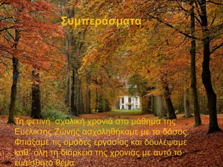 Συμπεράσματα
 .
Τη φετινή σχολική χρονιά στο μάθημα της
Ευέλικτης Ζώνης ασχοληθήκαμε με το δάσος.
Φτιάξαμε τις ομάδες εργασίας και δουλέψαμε
καθ΄ όλη τη διάρκεια της χρονιάς με αυτό το
ευαίσθητο θέμα.
.
 