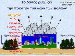 οξυγόνο
Τα δάση
παράγουν
οξυγόνο σαν
γιγάντια
εργοστάσια.
 Παράγουν 10
φορές
περισσότερο
οξυγόνο από
κάθε
οικοσύστημα
 