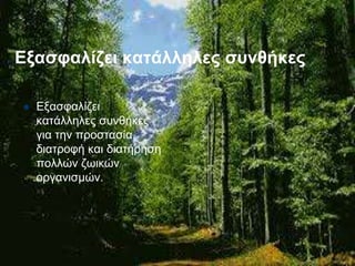 Εξασφαλίζει κατάλληλες συνθήκες
 Εξασφαλίζει
κατάλληλες συνθήκες
για την προστασία,
διατροφή και διατήρηση
πολλών ζωικών
οργανισμών.
 