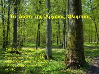 Τα Δάση της Αρχαίας Ολυμπίας
 Στα δάση της Αρχαίας
Ολυμπίας τελούσαν τους
Ολυμπιακούς Αγώνες . Με
κλαδιά από αυτό το δάσος
[ ελιάς ] στεφάνωναν τους
νικητές.
 