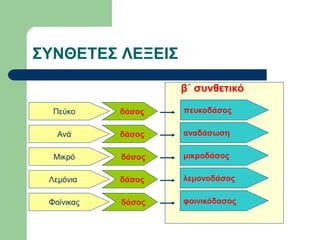 ΣΥΝΘΕΤΕΣ ΛΕΞΕΙΣ
Πεύκο δάσος πευκοδάσος
β΄ συνθετικό
Ανά δάσος αναδάσωση
Μικρό δάσος μικροδάσος
Λεμόνια δάσος λεμονοδάσος
Φοίνικας δάσος φοινικόδασος
 