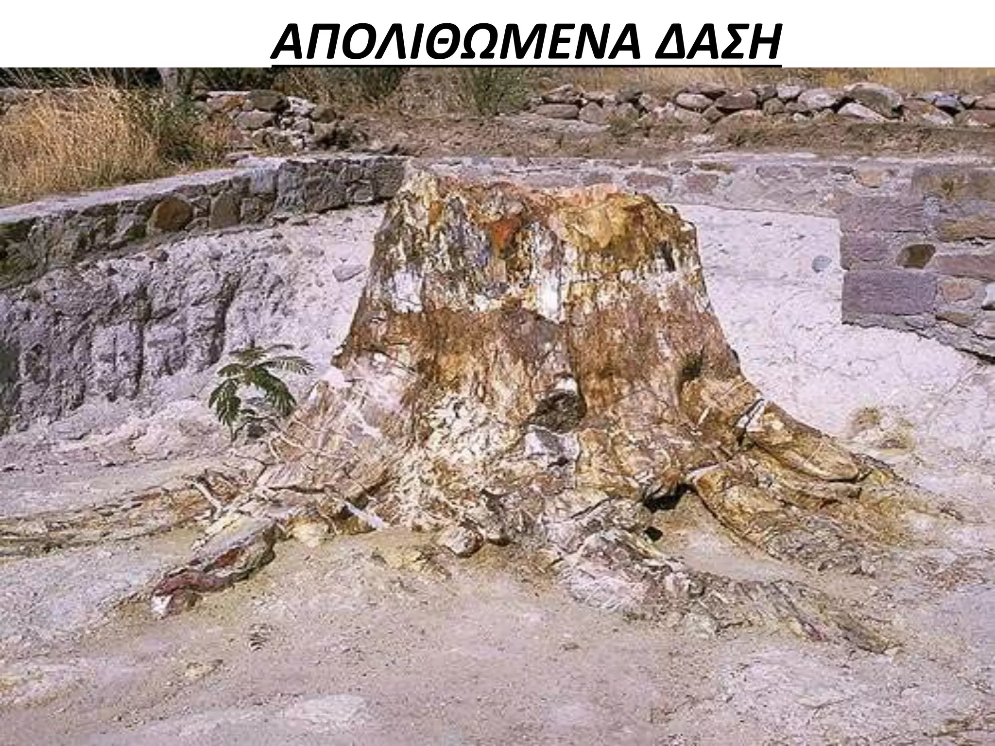 ΑΠΟΛΙΘΩΜΕΝΑ ΔΑΣΗ
 