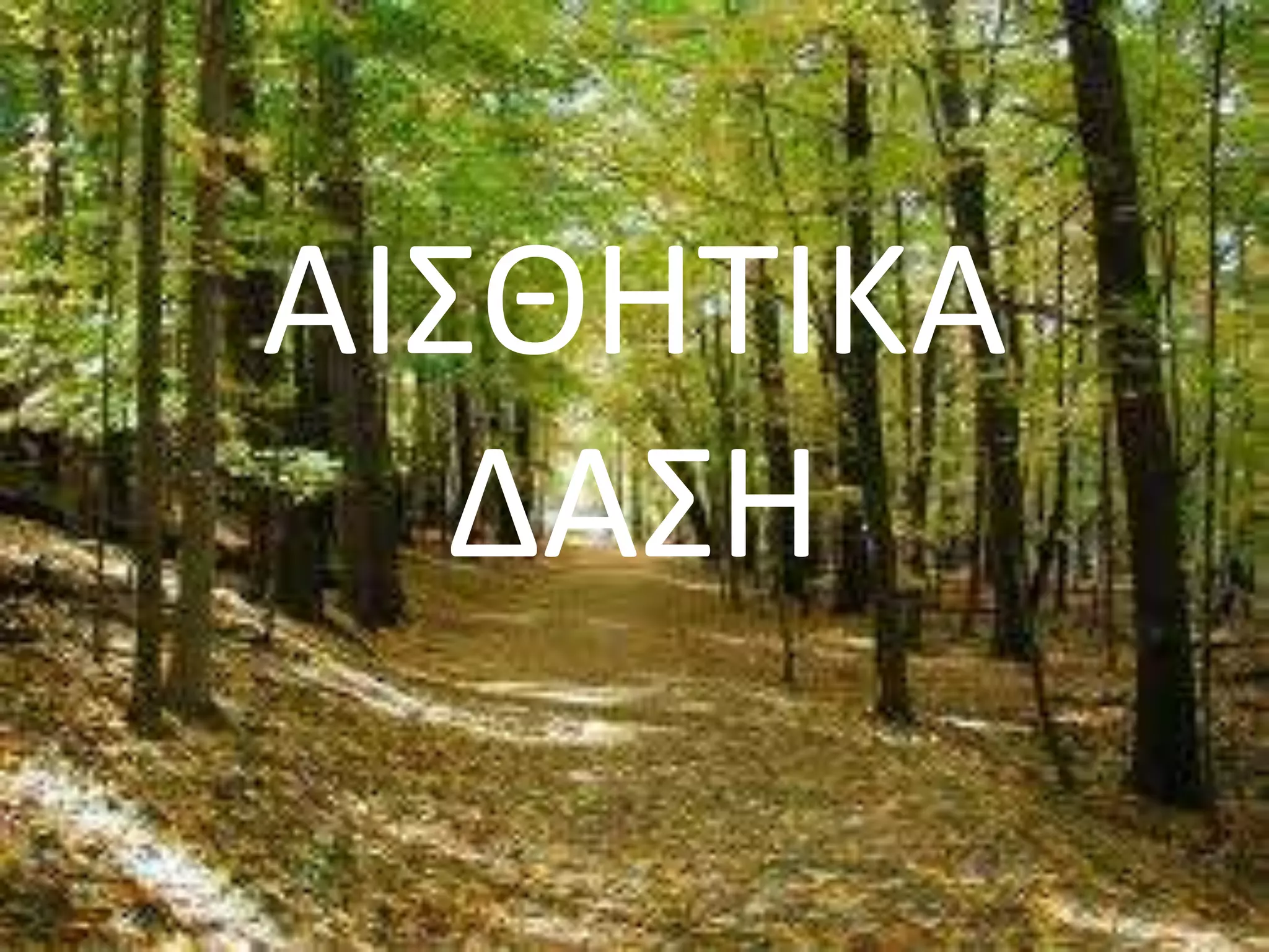 ΑΙΣΘΗΤΙΚΑ
ΔΑΣΗ
 