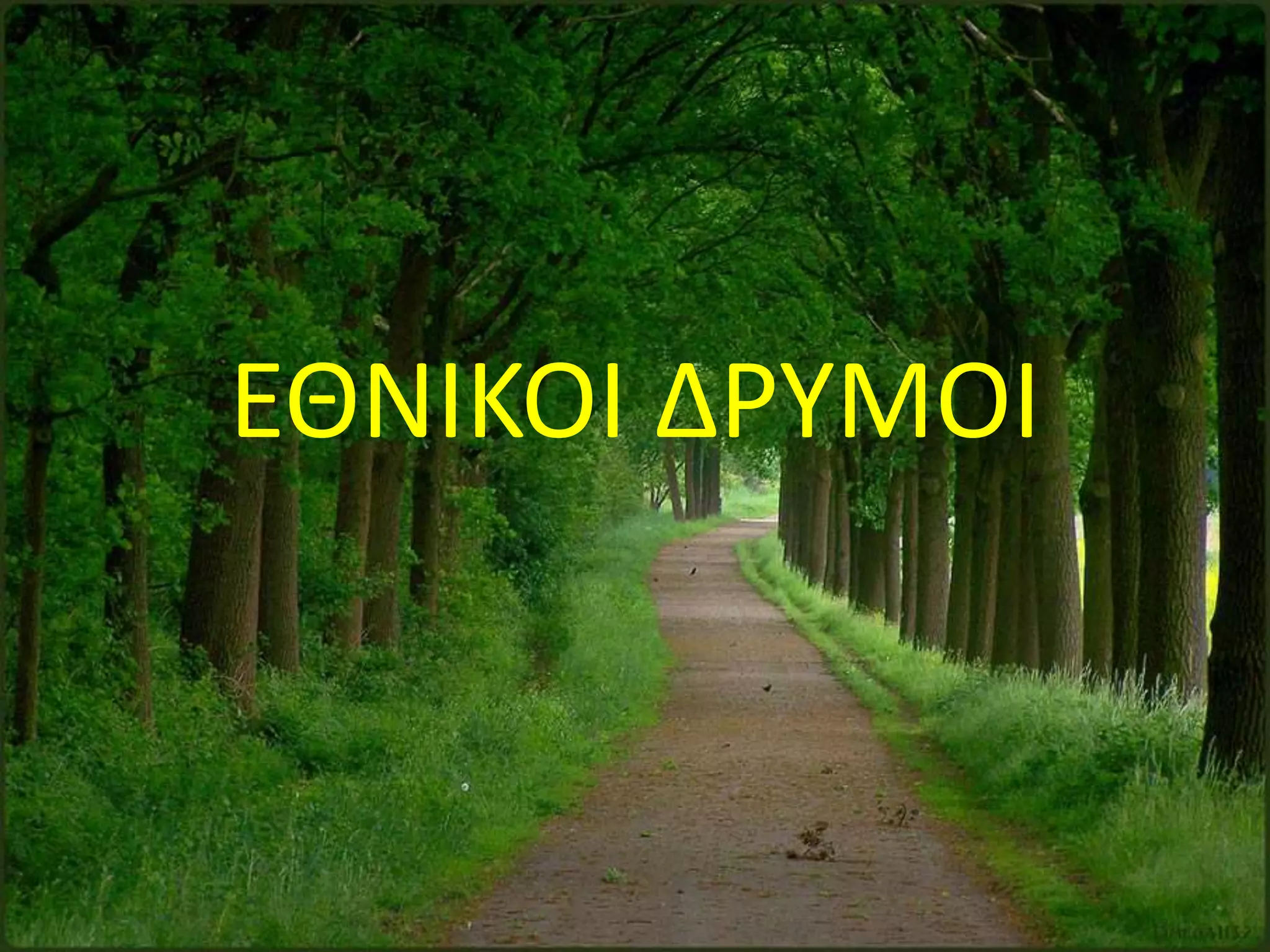 ΕΘΝΙΚΟΙ ΔΡΥΜΟΙ
 