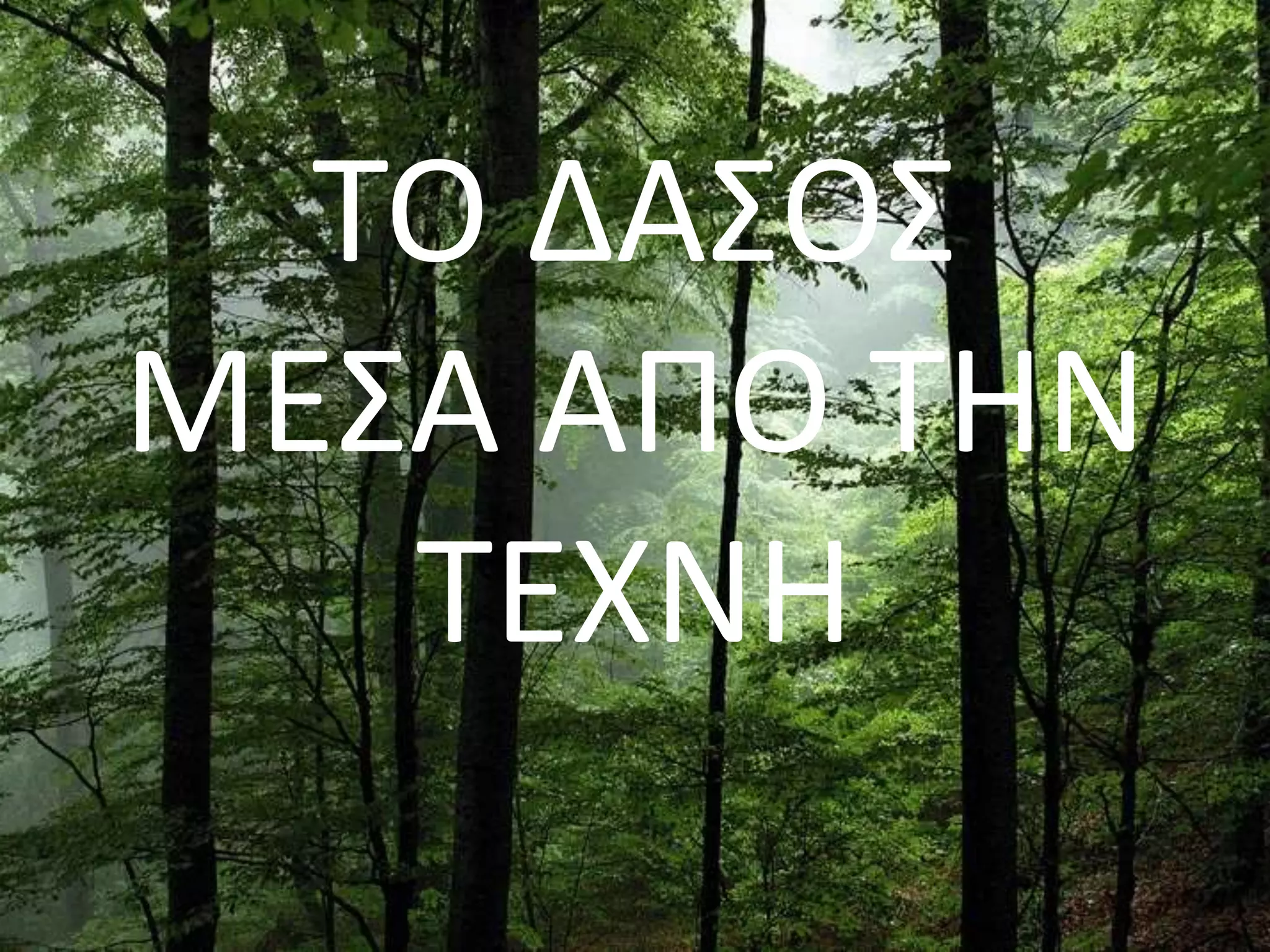 ΤΟ ΔΑΣΟΣ
ΜΕΣΑ ΑΠΟ ΤΗΝ
ΤΕΧΝΗ
 