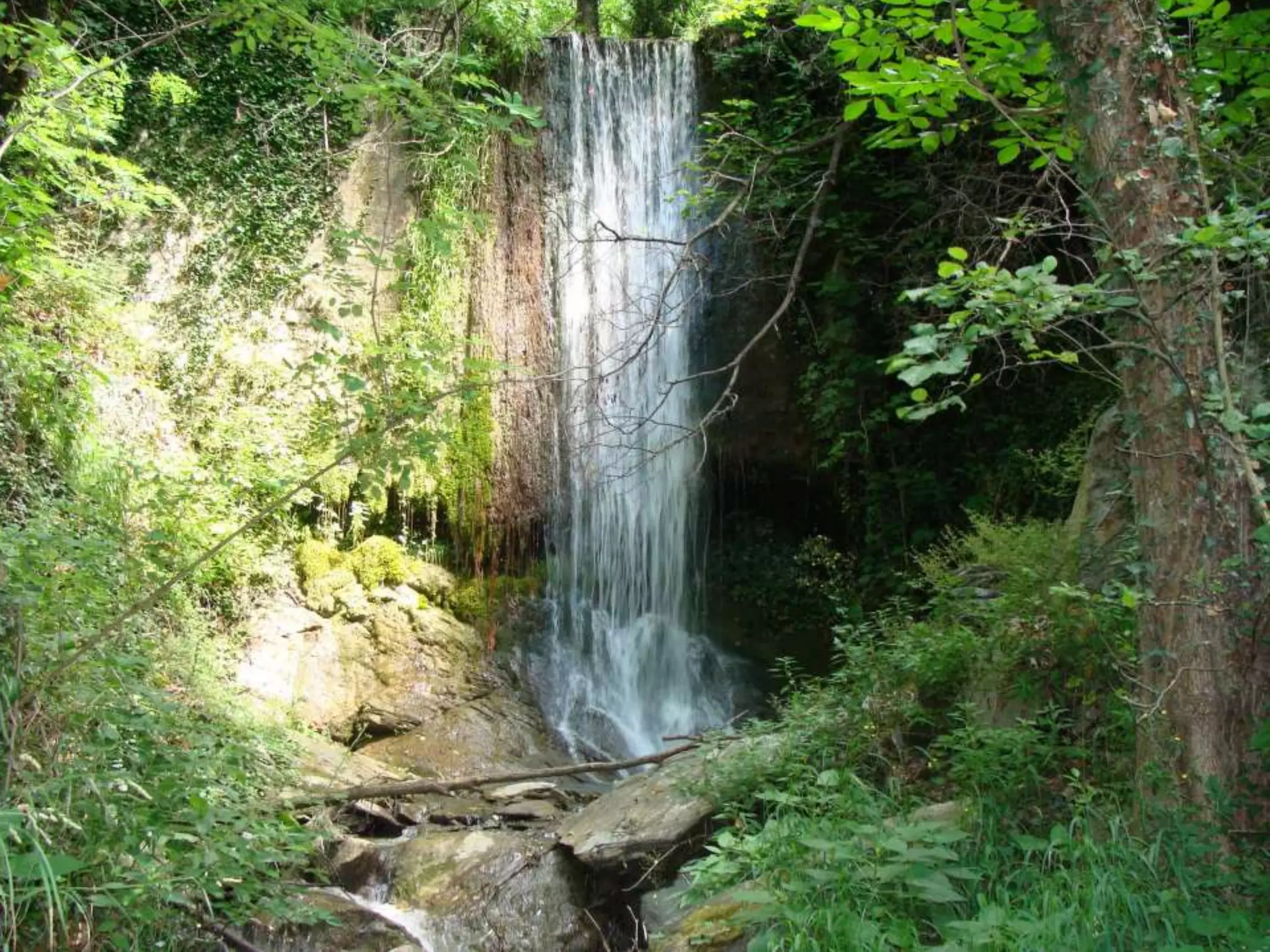 • εικονεςDSC00738_2.JPG
 