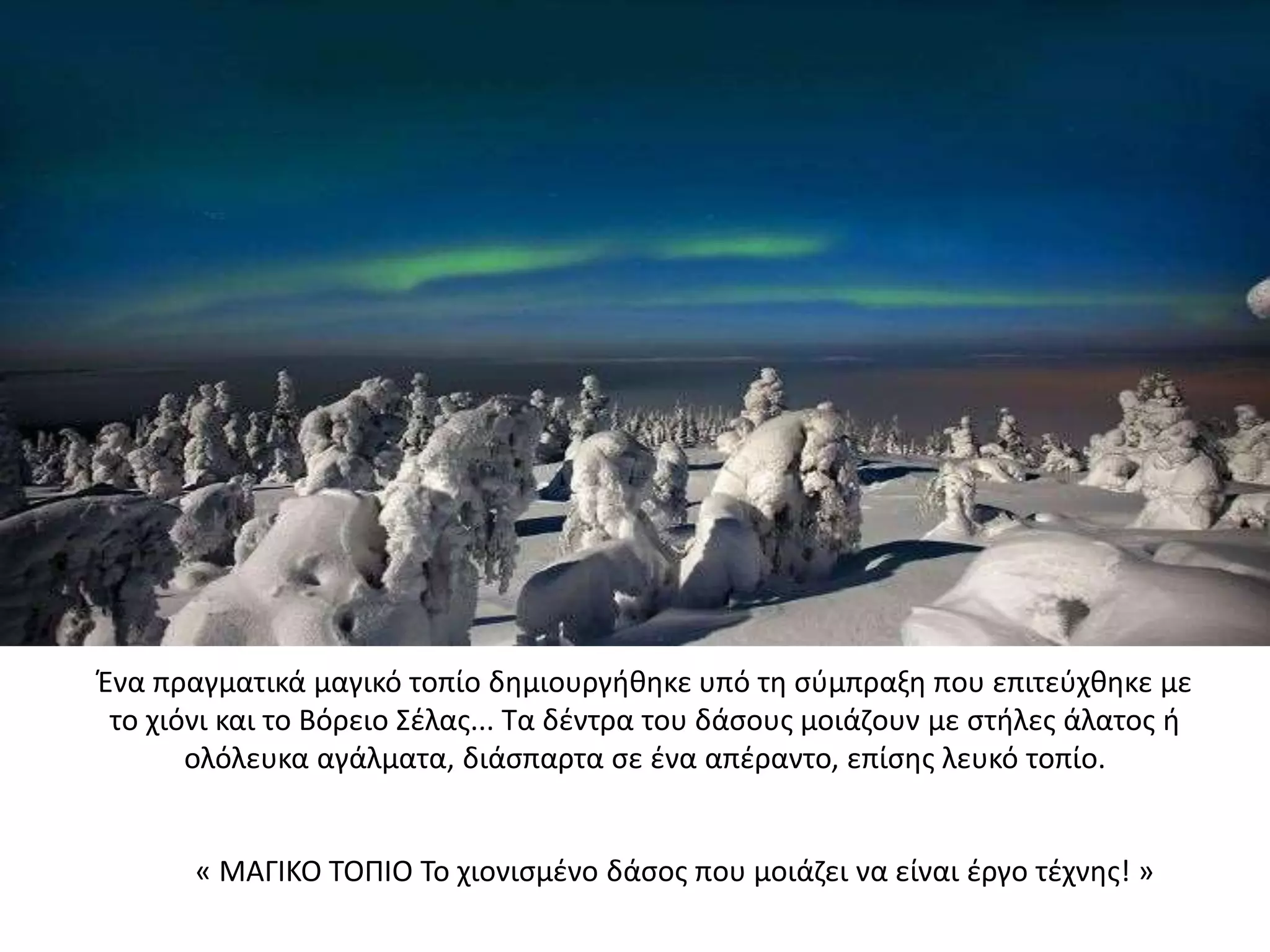 Ένα πραγματικά μαγικό τοπίο δημιουργήθηκε υπό τη σύμπραξη που επιτεύχθηκε με
το χιόνι και το Βόρειο Σέλας... Τα δέντρα του δάσους μοιάζουν με στήλες άλατος ή
ολόλευκα αγάλματα, διάσπαρτα σε ένα απέραντο, επίσης λευκό τοπίο.
« ΜΑΓΙΚΟ ΤΟΠΙΟ Το χιονισμένο δάσος που μοιάζει να είναι έργο τέχνης! »
 