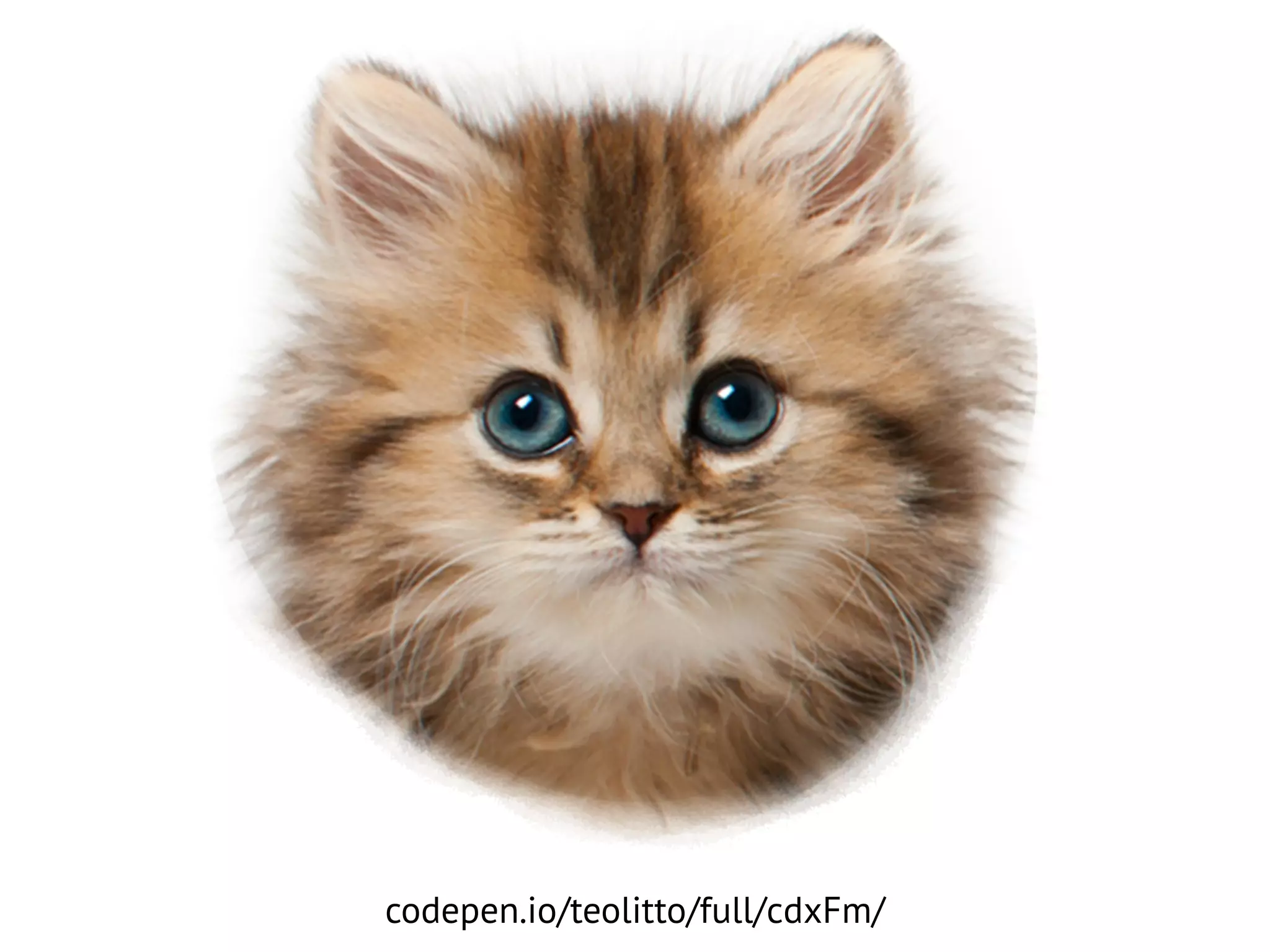 codepen.io/teolitto/full/cdxFm/
 