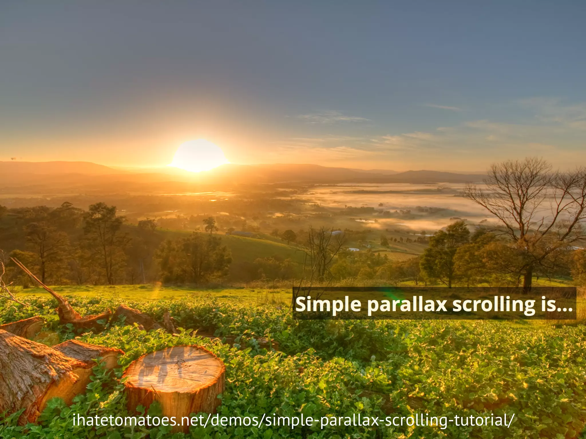 ihatetomatoes.net/demos/simple-parallax-scrolling-tutorial/
 