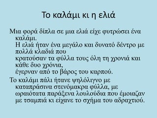 Το καλάμι κι η ελιά
Μια φορά δίπλα σε μια ελιά είχε φυτρώσει ένα
καλάμι.
Η ελιά ήταν ένα μεγάλο και δυνατό δέντρο με
πολλά κλαδιά που
κρατούσαν τα φύλλα τους όλη τη χρονιά και
κάθε δυο χρόνια,
έγερναν από το βάρος του καρπού.
Το καλάμι πάλι ήτανε ψηλόλιγνο με
καταπράσινα στενόμακρα φύλλα, με
ωραιότατα παράξενα λουλούδια που έμοιαζαν
με τσαμπιά κι είχανε το σχήμα του αδραχτιού.
 