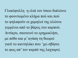 Γλυκόφυλλη η ελιά τον ίσκιο διπλώνει
το φουντωμένο κλήμα πού και πού
το ψηλαφούν οι χαμηλοί της κλώνοι
γερμένοι από το βάρος του καρπού.
Αντίκρυ, σκοτεινό το ερημοκλήσι,
με πόθο και μ’ αγάπη τη θεωρεί
γιατί το καντηλάκι που ‘χει σβήσει
το φως απ’ τον καρπό της λαχταρεί.
 