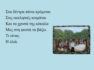 Στα δέντρα πάνω κρέμεται
Στις εκκλησιές κοιμάται
Και τα χρυσά της κόκαλα
Μες στη φωτιά τα βάζω.
Τι είναι;
Η ελιά.
 