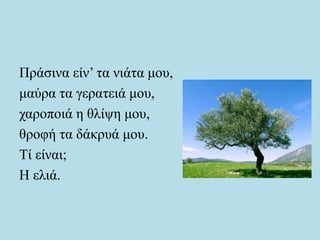 Πράσινα είν’ τα νιάτα μου,
μαύρα τα γερατειά μου,
χαροποιά η θλίψη μου,
θροφή τα δάκρυά μου.
Τί είναι;
Η ελιά.
 