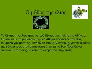 Ο μύθος της ελιάς
Το δέντρο της ελιάς ήταν το ιερό δέντρο της πόλης της Αθήνας.
Σύμφωνα με τη μυθολογία, η θεά Αθηνά πρόσφερε την ελιά,
σύμβολο γονιμότητας, σαν δώρο στους Αθηναίους, για να κερδίσει
την εύνοιά τους στον ανταγωνισμό της με το θεό Ποσειδώνα,
σχετικά με το ποιος θα έδινε το όνομά του στην πόλη.
 