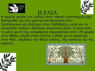 Η ΕΛΙΑ
Η αρχαία χρήση του λαδιού στην ταφική τελετουργία έχει
διατηρηθεί και στη χριστιανική θρησκεία.Στον
Χριστιανισμό και ιδιαίτερα στον Ορθόδοξο η ελιά και το
ελαιόλαδο παίζουν ιδιαίτερα σημαντικό ρόλο. Η ελιά είναι
το μόνο φυτό που αναφέρεται περισσότερο από 170 φορές
στην Βίβλο. Κλαδί ελιάς στέλνει ο Θεός με το περιστέρι
στον Νώε, σύμβολο του θείου ελέους, της γαλήνης και της
ειρήνης.
 