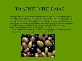 ΤΟ ΔΕΝΤΡΟ ΤΗΣ ΕΛΙΑΣ
Το δέντρο της ελιάς προκαλούσε δέος στον άνθρωπο, ήδη από τα προϊστορικά χρόνια
εξαιτίας της ιδιότητάς του να μην ξεραίνεται σχεδόν ποτέ. Μάλιστα, από τους ξερούς
κορμούς φυτρώνουν καινούργιοι βλαστοί και το δέντρο αναγεννάται. Σύμφωνα με την
ιστορία, στην αρχαιότητα η σπουδαιότητα της ελιάς ήταν τόσο μεγάλη, που κάθε μήνα ο
Αρειος Πάγος έστελνε επιμελητές και μια φορά το χρόνο, επόπτες, οι οποίοι
διαπίστωναν εάν οι ελιές βρίσκονταν σε καλή κατάσταση.
Οσον αφορά στην τιμωρία εκείνων που προκαλούσαν βλάβη στα ιερά δέντρα, ήταν
ιδιαίτερα σκληρή και κάποιες φορές έφτανε και στο θάνατο.
 