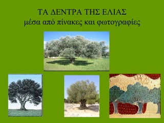 ΤΑ ΔΕΝΤΡΑ ΤΗΣ ΕΛΙΑΣ
μέσα από πίνακες και φωτογραφίες
 