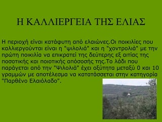 Η ΚΑΛΛΙΕΡΓΕΙΑ ΤΗΣ ΕΛΙΑΣ
Η περιοχή είναι κατάφυτη από ελαιώνες.Οι ποικιλίες που
καλλιεργούνται είναι η "ψιλολιά" και η "χοντρολιά" με την
πρώτη ποικιλία να επικρατεί της δεύτερης εξ αιτίας της
ποσοτικής και ποιοτικής απόσοσής της.Το λάδι που
παράγεται από την "Ψιλολιά" έχει οξύτητα μεταξύ 0 και 10
γραμμών με αποτέλεσμα να κατατάσσεται στην κατηγορία
"Παρθένο Ελαιόλαδο".
 