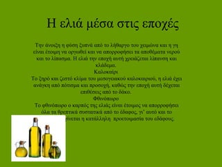 Η ελιά μέσα στις εποχές
Την άνοιξη η φύση ξυπνά από το λήθαργο του χειμώνα και η γη
είναι έτοιμη να οργωθεί και να απορροφήσει τα αποθέματα νερού
και το λίπασμα. Η ελιά την εποχή αυτή χρειάζεται λίπανση και
κλάδεμα.
Καλοκαίρι
Το ξηρό και ζεστό κλίμα του μεσογειακού καλοκαιριού, η ελιά έχει
ανάγκη από πότισμα και προσοχή, καθώς την εποχή αυτή δέχεται
επιθέσεις από το δάκο.
Φθινόπωρο
Το φθινόπωρο ο καρπός της ελιάς είναι έτοιμος να απορροφήσει
όλα τα θρεπτικά συστατικά από το έδαφος, γι’ αυτό και το
φθινόπωρο γίνεται η κατάλληλη προετοιμασία του εδάφους.
 