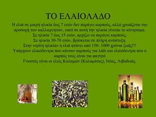 ΤΟ ΕΛΑΙΟΛΑΔΟ
Η ελιά σε μικρή ηλικία έως 7 ετών δεν παράγει καρπούς, αλλά χρειάζεται την
προσοχή των καλλιεργητών, γιατί σε αυτή την ηλικία γίνεται το κέντρισμα.
Σε ηλικία 7 έως 15 ετών, αρχίζει να παράγει καρπούς.
Σε ηλικία 30-70 ετών, βρίσκεται σε πλήρη ανάπτυξη.
Στην «τρίτη ηλικία» η ελιά φτάνει από 150- 1000 χρόνια ζωής!!!
Υπάρχουν ελαιόδεντρα που κάνουν καρπούς για λάδι και ελαιόδεντρα που ο
καρπός τους είναι για φαγητό
Γνωστές είναι οι ελιές Καλαμών (Καλαμάτας), Ιτέας, Λιβαδειάς.
 