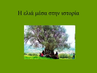 Η ελιά μέσα στην ιστορία
 