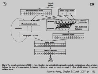 29
Source: Perry, Ziegler & Zorzi (2007, p. 116)
⑧ ２９
 