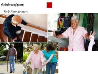 ข้อจากัดของผู้สูงอายุ
ข้อจากัดทางร่างกาย
 